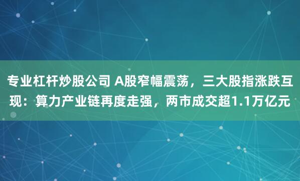 专业杠杆炒股公司 A股窄幅震荡，三大股指涨跌互现：算力产业链再度走强，两市成交超1.1万亿元