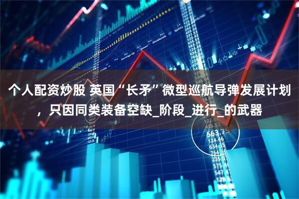 个人配资炒股 英国“长矛”微型巡航导弹发展计划，只因同类装备空缺_阶段_进行_的武器
