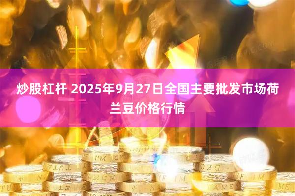 炒股杠杆 2025年9月27日全国主要批发市场荷兰豆价格行情
